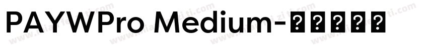 PAYWPro Medium字体转换